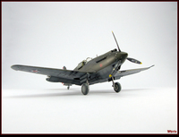 P-40B-02