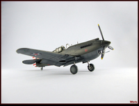 P-40B-03