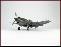 P-40B-09