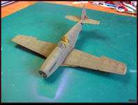 IMG 3441