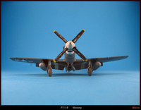 p-51b-010